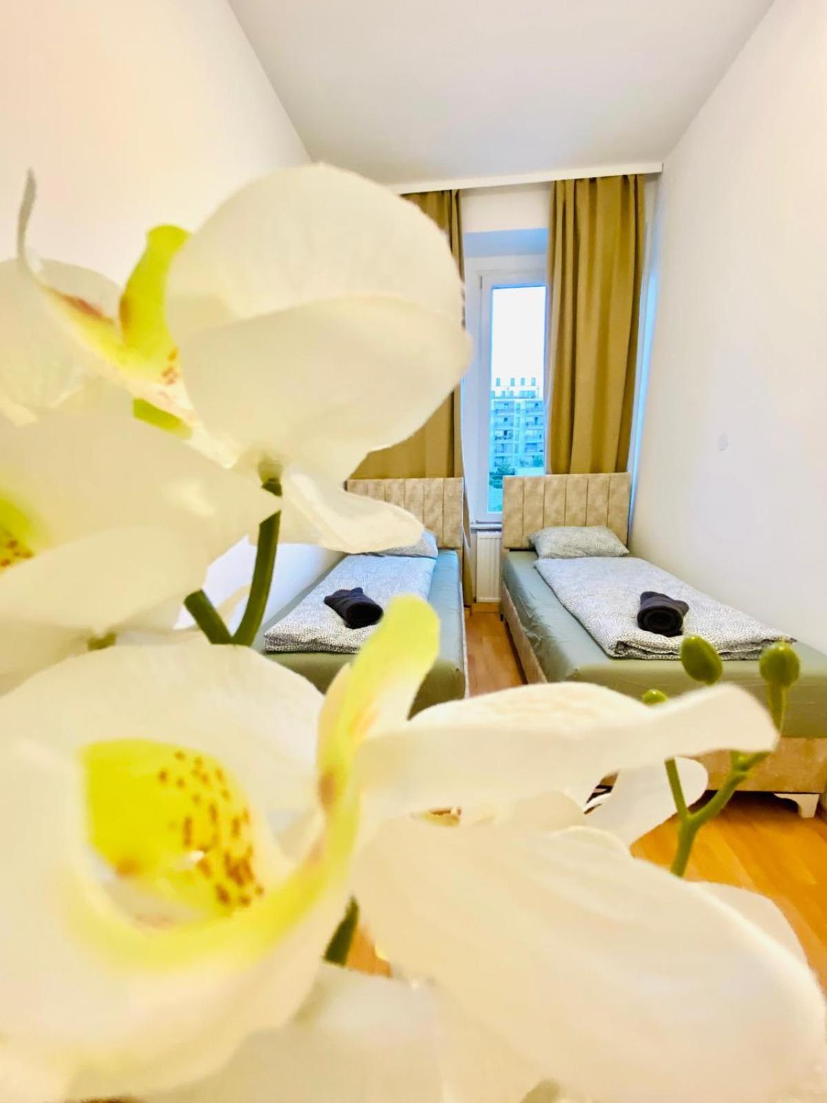 Bright 5br Shared W Great Transport Link * Vienna